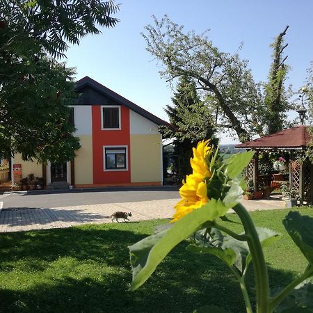 Gaestehaus Dobida Unterlamm (Styria) Exterior photo