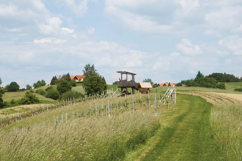 Gaestehaus Dobida Unterlamm (Styria) Exterior photo